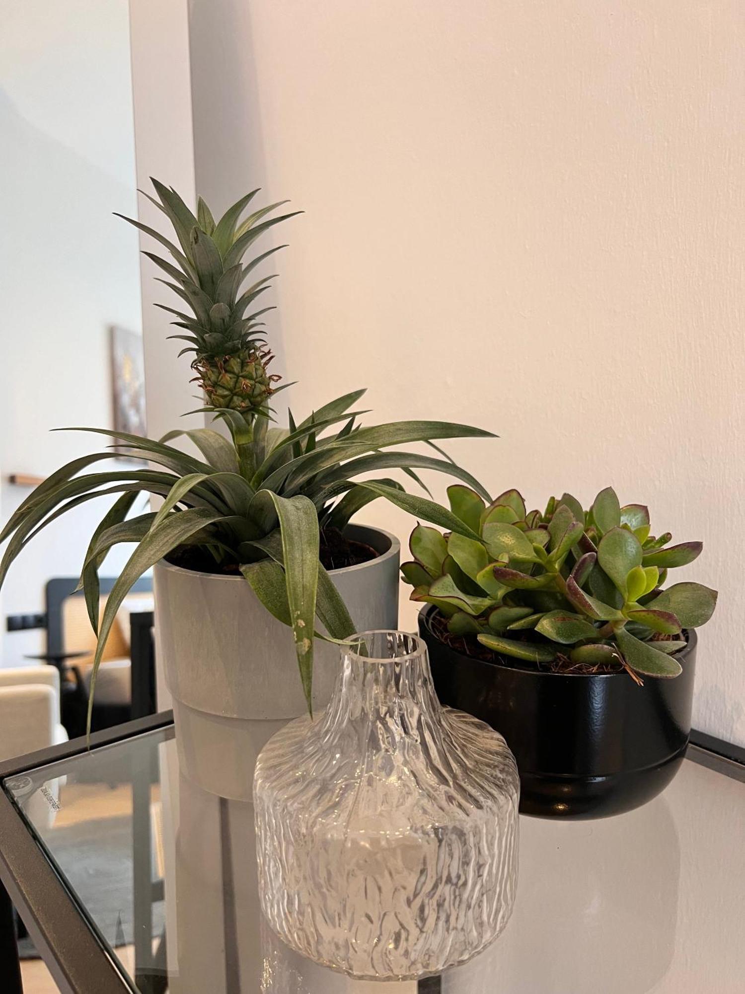 Modern Stay I Cosy & Central Apartments 코블렌츠 외부 사진